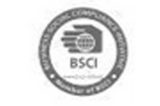 HAHN| BSCI soziale Verantwortung