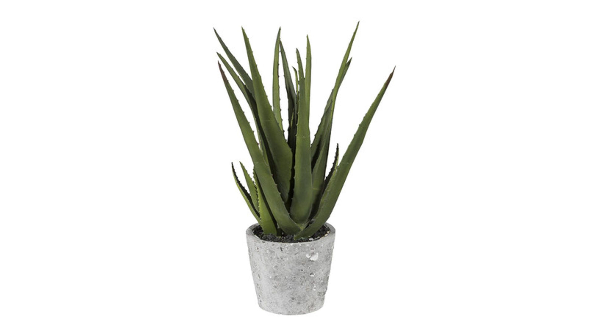 Pflanzen-Set Gasper aus Kunststoff in Grün Aloe Vera Pflanze künstliche Grünpflanze & Zementtopf