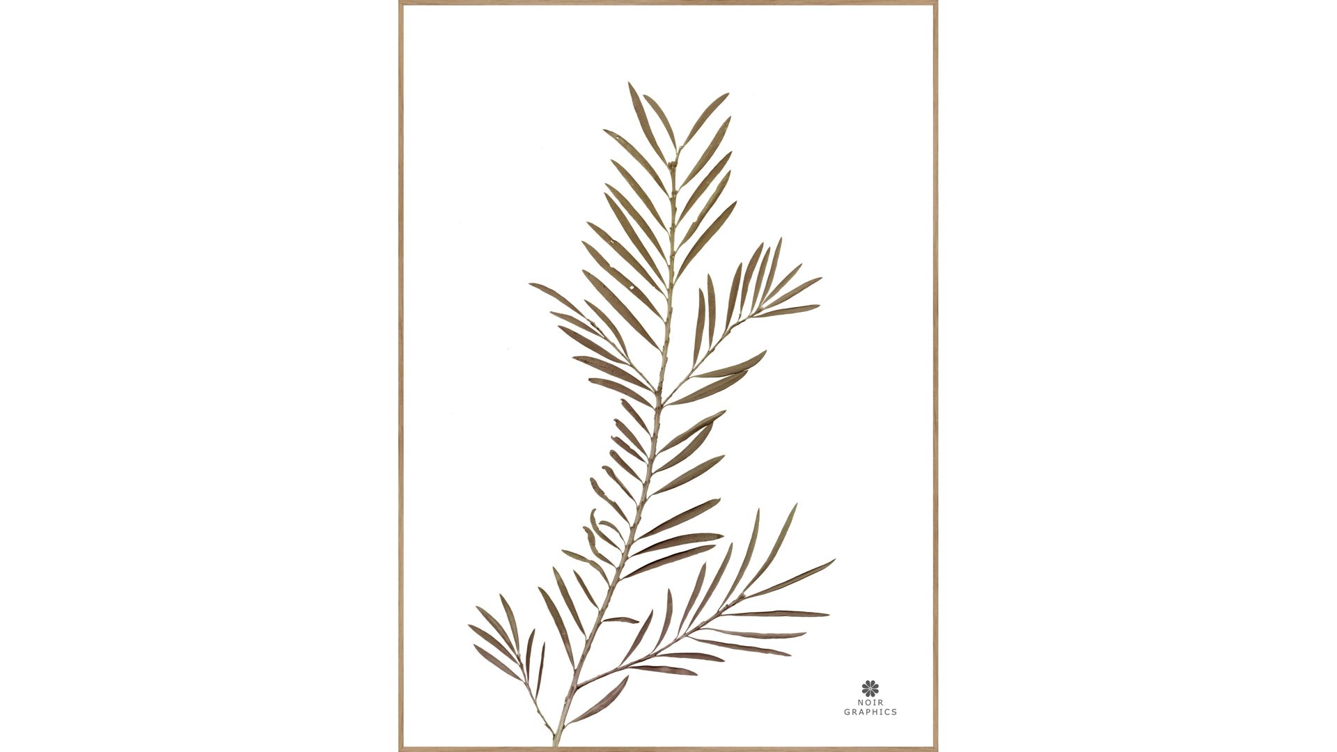 Kunstdruck Malerifabrikken aus Karton / Papier / Pappe in Braun Posterboard Grace 2 mit Rahmen Motiv Pflanzenblatt & Eichenholzrahmen – ca. 30 x 40 cm