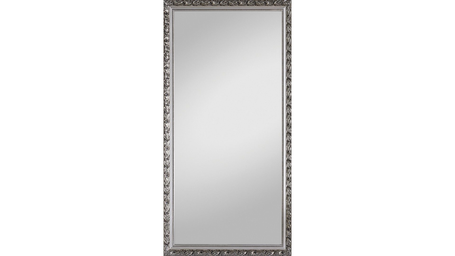 Wandspiegel Spiegelprofi aus Spiegel in Metallfarben Rahmenspiegel silberfarbener Holzrahmen – ca. 100 x 200 cm