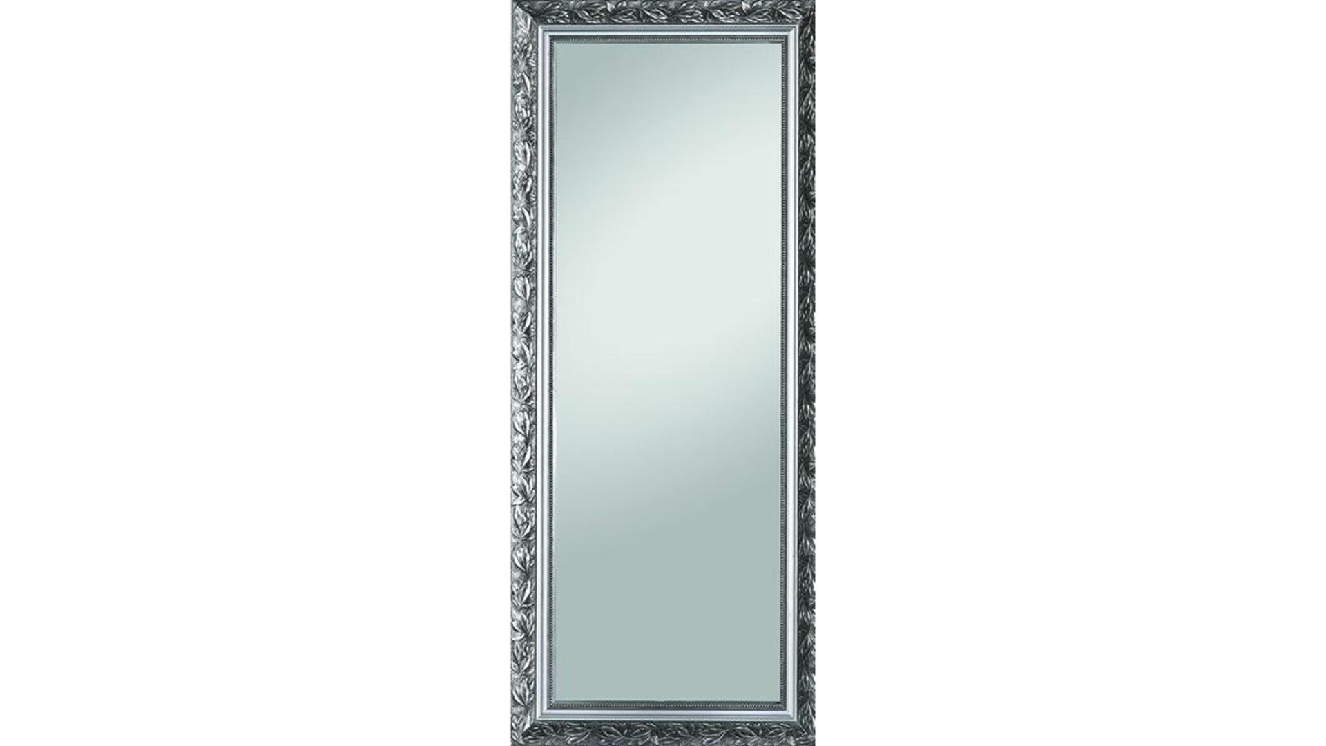 Wandspiegel Spiegelprofi aus Spiegel in Metallfarben Rahmenspiegel silberfarbener Holzrahmen – ca. 46 x 111 cm