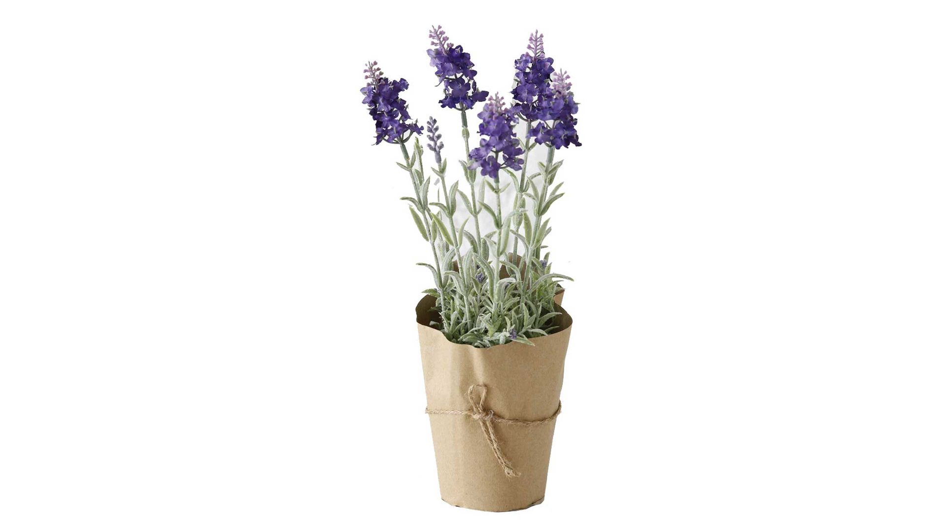 Pflanze Boltze aus Kunststoff in Lila Lavendel lilafarbener Kunststoff - Höhe ca. 32 cm