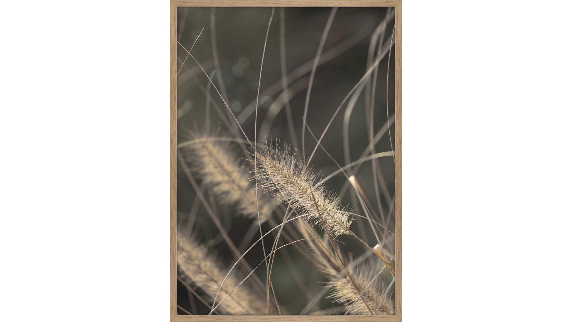 Kunstdruck Malerifabrikken aus Holz in Braun Kunstdruck Mellow Grasses 2 bedrucktes Holz & Eiche – ca. 50 x 70 cm