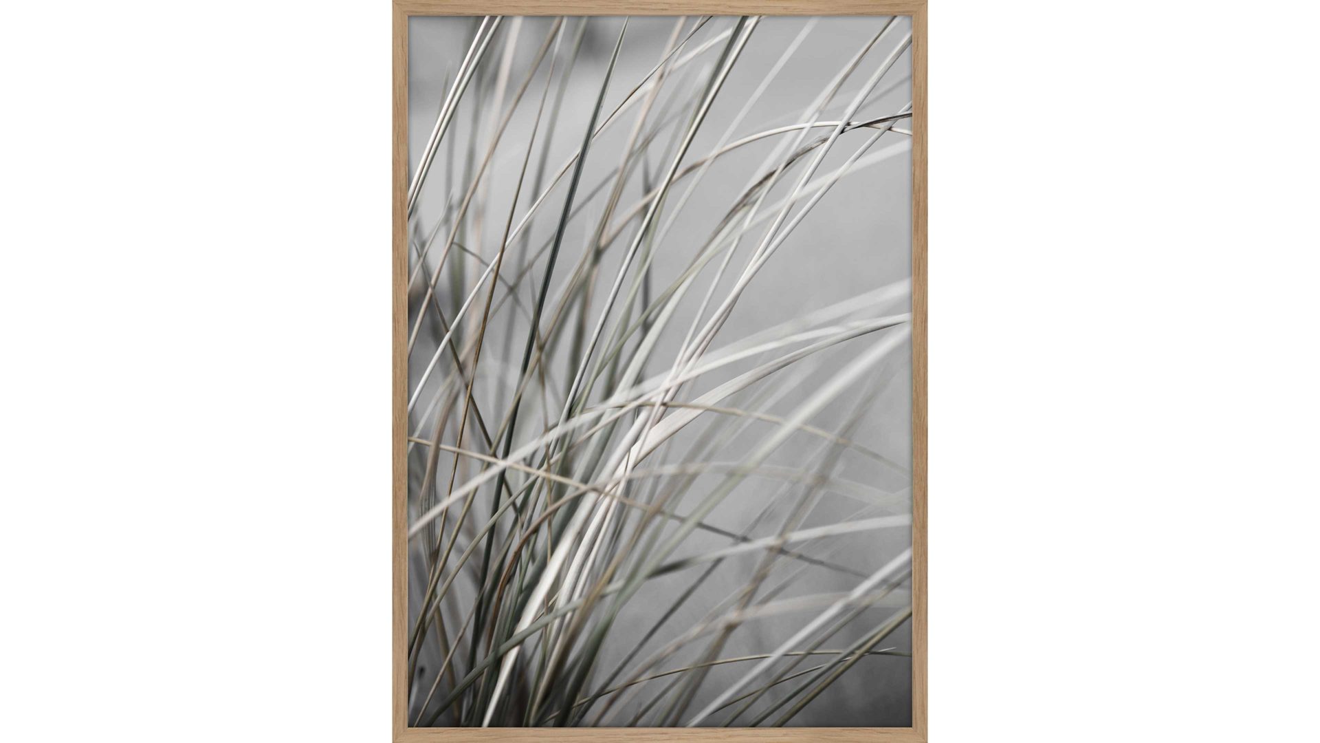 Kunstdruck Malerifabrikken aus Holz in Grau Posterdruck Mellow Grasses 1 bedrucktes Holz & Eiche – ca. 50 x 70 cm