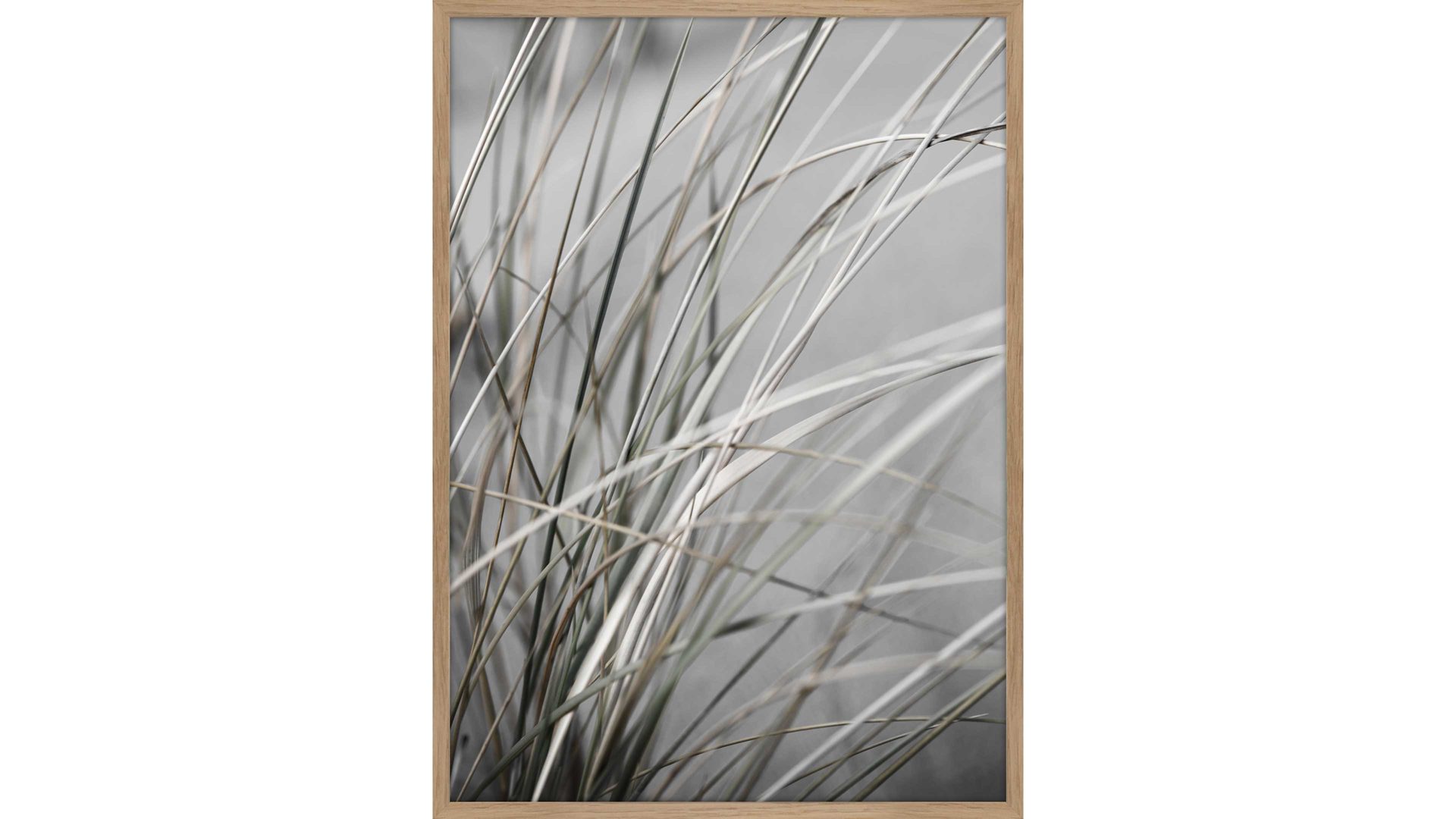 Kunstdruck Malerifabrikken aus Holz in Grau Posterdruck Mellow Grasses 1 bedrucktes Holz & Eiche – ca. 50 x 70 cm