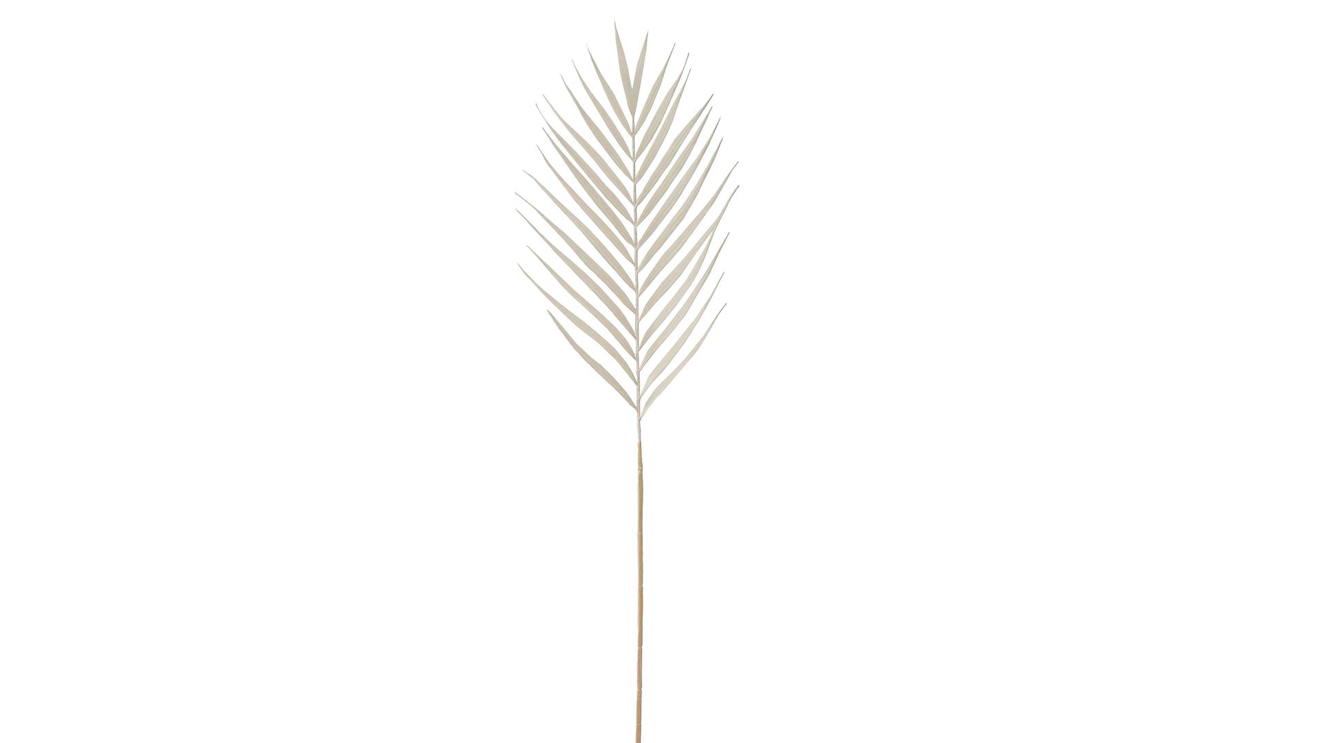Zweig Boltze aus Kunststoff in Weiß Dekozweig Palme cremeweißer Kunststoff – Höhe ca. 76 cm