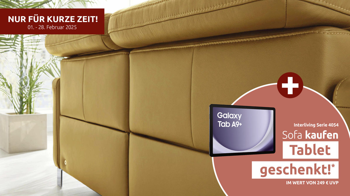 Mehrpreis Interliving aus Leder in Transparent Interliving Sofa Serie 4054 – Mehrpreis 2,5-Sitzer Lederrücken Lederbezug Credo