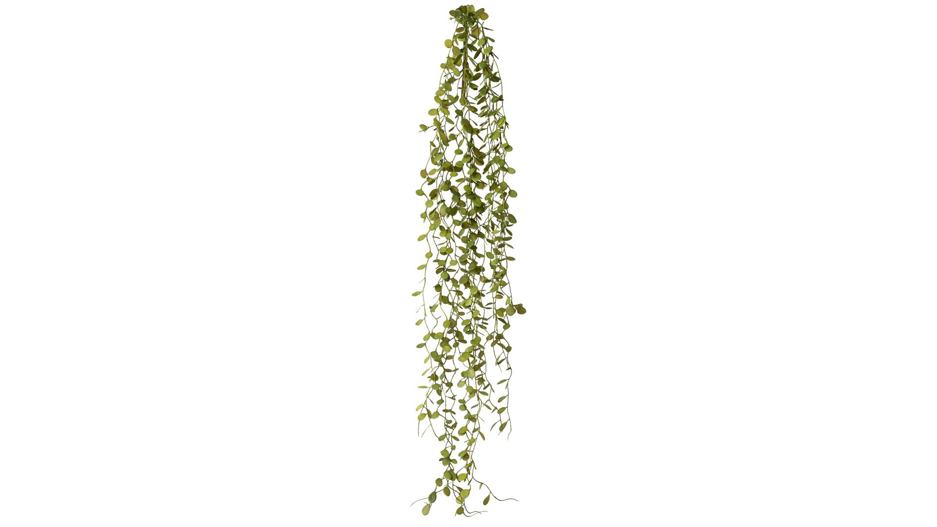 Blume Gasper aus Kunststoff in Grün Mühlenbeckia Oscar grüner Kunststoff – Länge ca. 71 cm