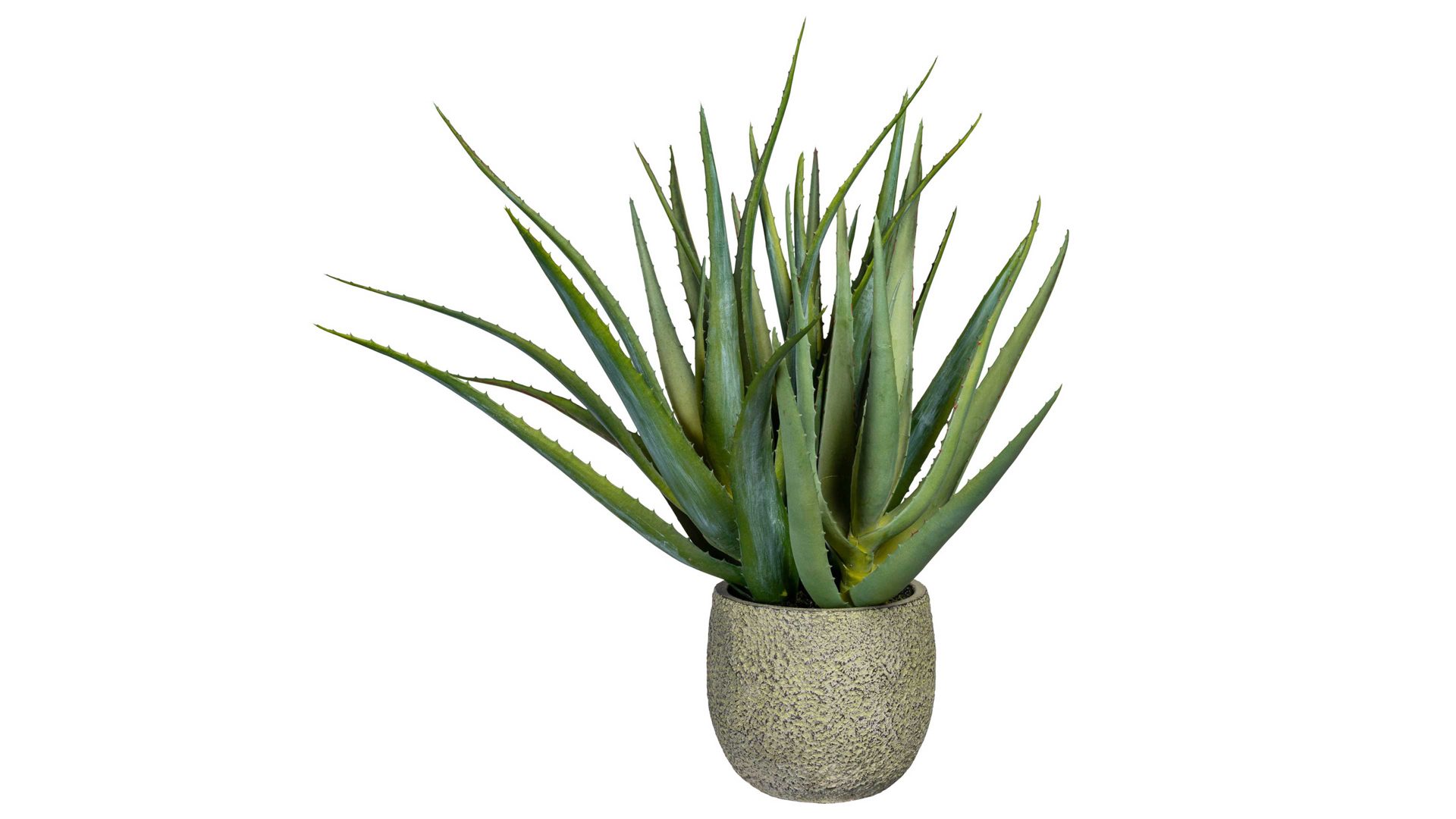 Pflanze Gasper aus Kunststoff in Grün Aloe Vera Pflanze Svenja künstliche Grünpflanze & Zementtopf