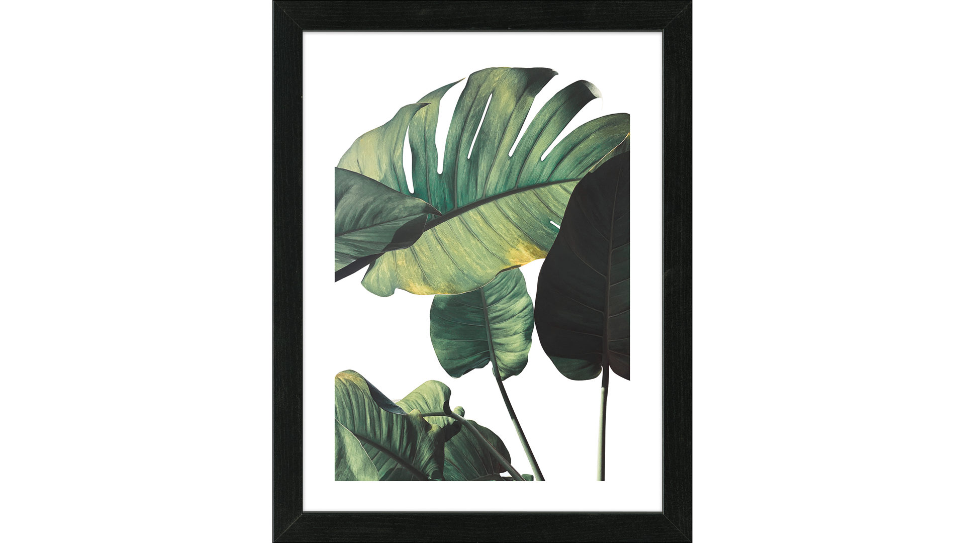 Kunstdruck Pro®art bilderpalette aus Karton / Papier / Pappe in Dunkelgrün PRO®ART Kunstdruck Scandic Living Jungle Leaves II - ca. 35 x 45 cm