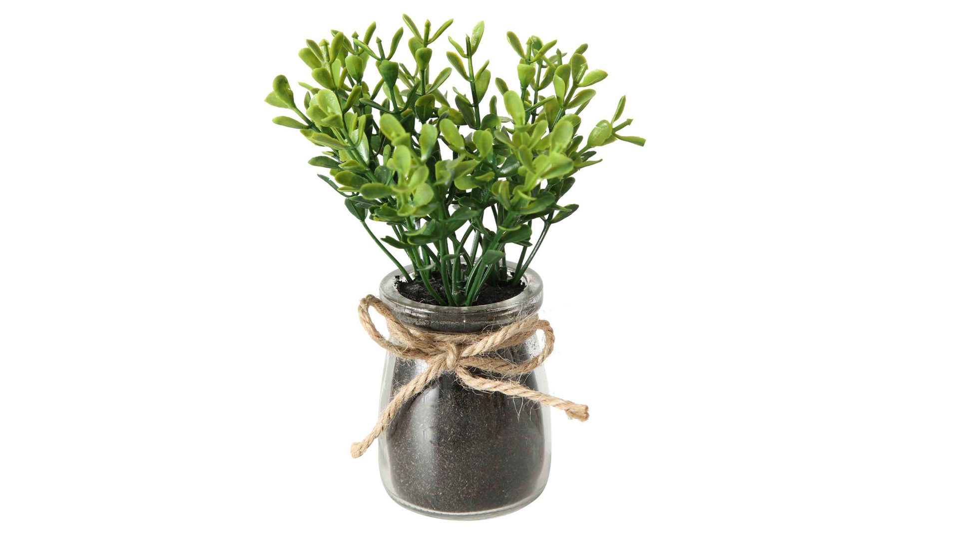Pflanze Boltze aus Kunststoff in Grün Sukkulente grüner Kunststoff & Glas - Höhe ca. 17 cm