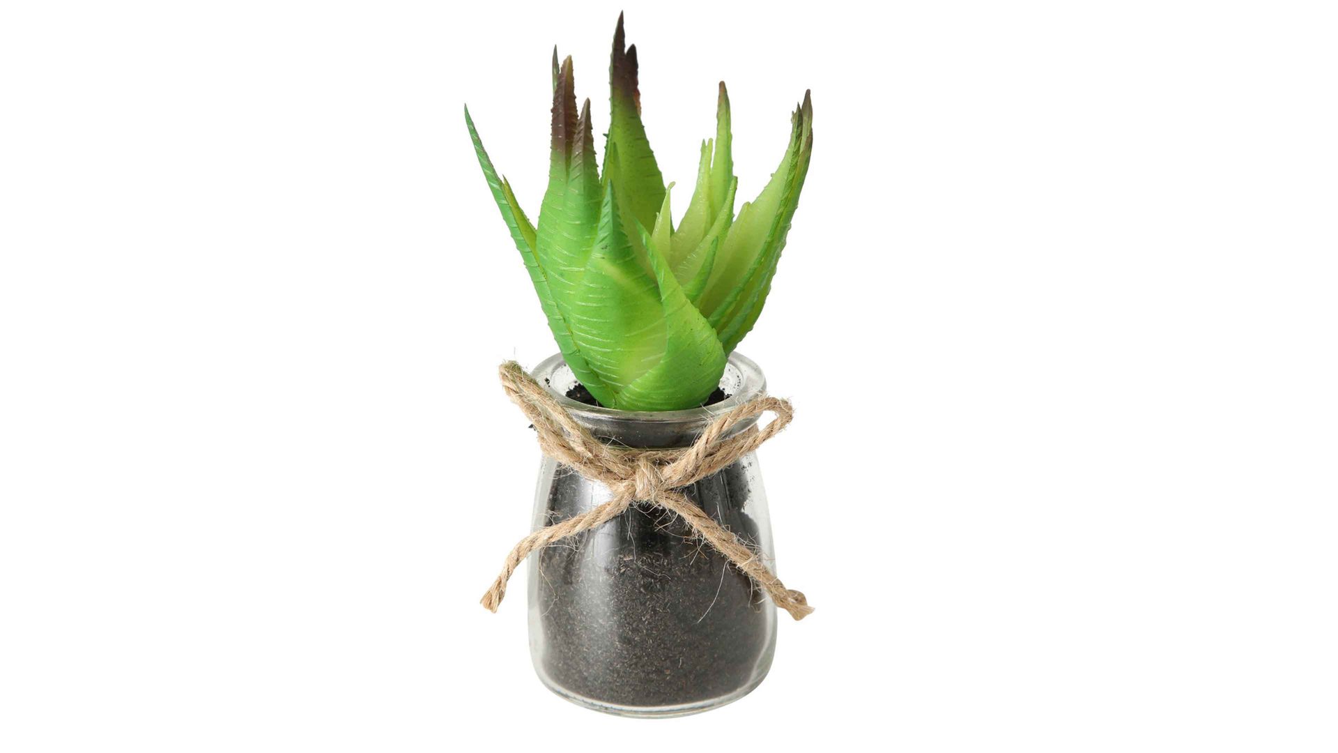 Pflanze Boltze aus Kunststoff in Grün Sukkulente grüner Kunststoff & Glas - Höhe ca. 17 cm