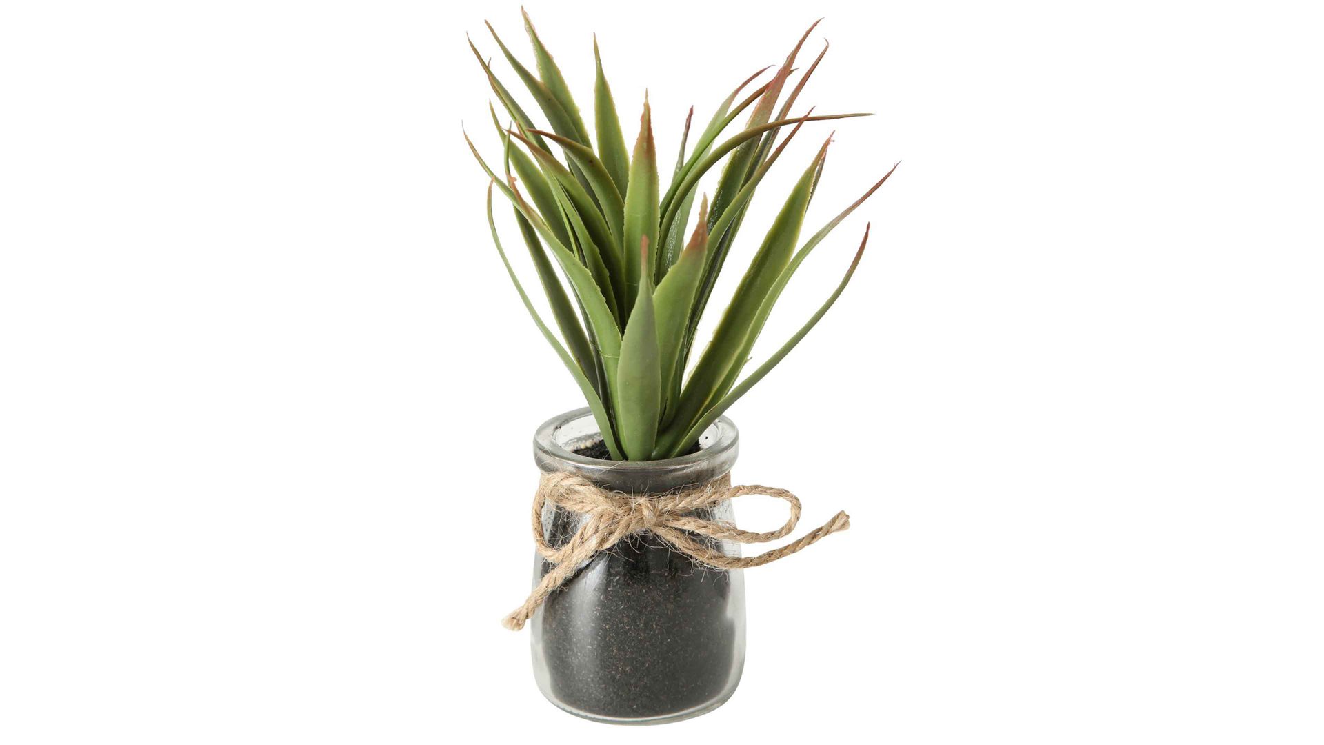 Pflanze Boltze aus Kunststoff in Grün Sukkulente grüner Kunststoff & Glas - Höhe ca. 17 cm