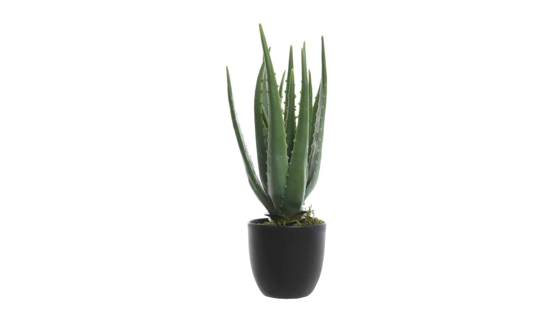 Pflanze Kaemingk aus Kunststoff in Dunkelgrün Aloe Vera im Topf dunkelgrüner & schwarzer Kunststoff - Höhe ca. 35 cm