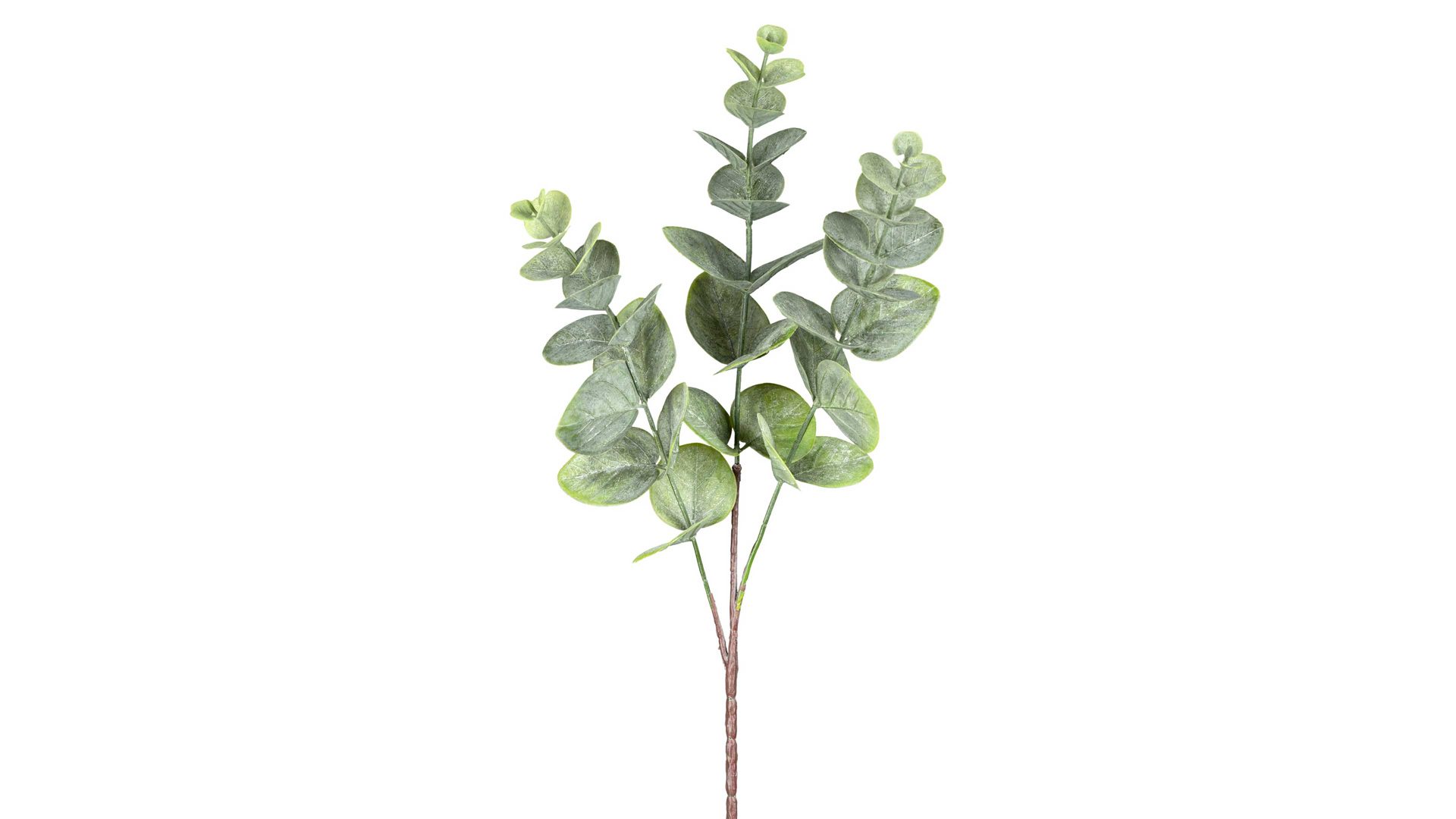 Blume Gasper aus Kunststoff in Grün Eukalyptuszweig Valdete graugrüner Kunststoff – Höhe ca. 51 cm