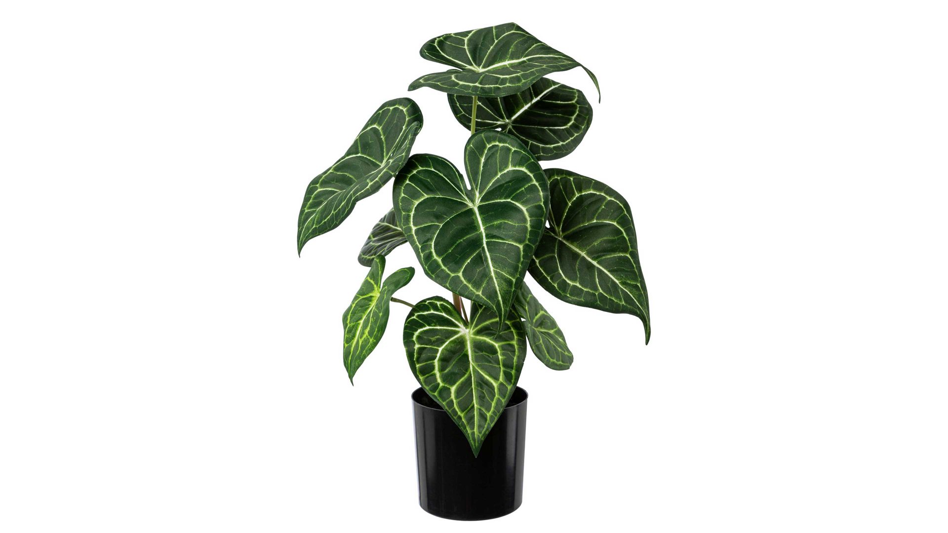 Pflanze Gasper aus Kunststoff in Dunkelgrün Anthurie Sachar dunkelgrüner Kunststoff & schwarzer Topf – Höhe ca. 37 cm