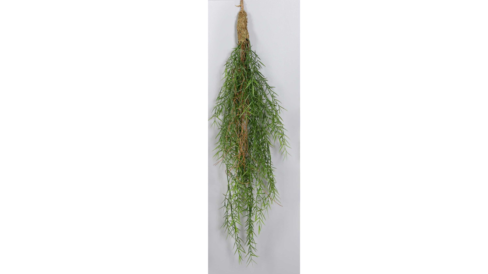 Zweig Dpi aus Kunststoff in Grün hängendes Grünbündel Asparagus - Länge ca. 50 cm