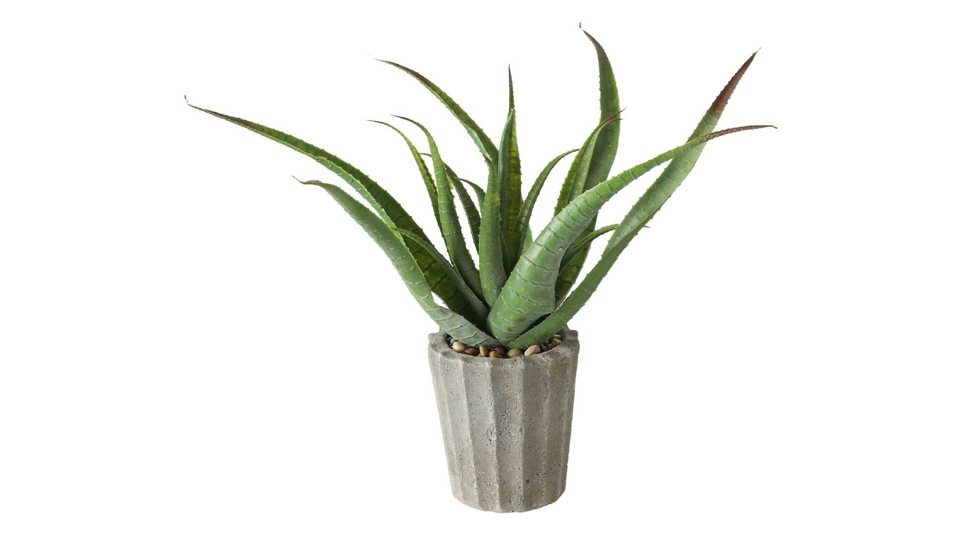 Pflanze Boltze aus Kunststoff in Dunkelgrün Aloe Vera grüner Kunststoff & Beton - Höhe ca. 50 cm