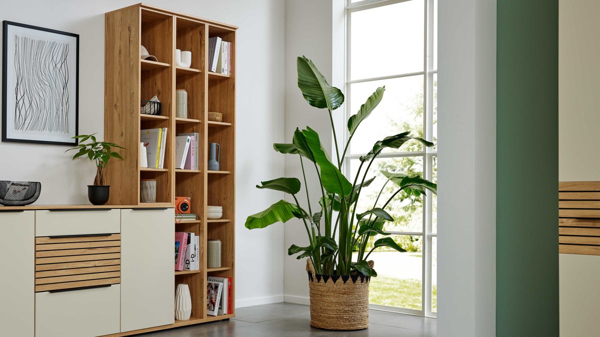 Regal Interliving aus Holz in Holzfarben Interliving Wohnzimmer Serie 2032 - Regalkombination Risseiche - dreiteilig