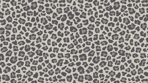 Wohndecke Biederlack® aus Mischgewebe in Grau Biederlack® Wohndecke Cotton Home Leo graues Mischgewebe - ca. 150 x 200 cm