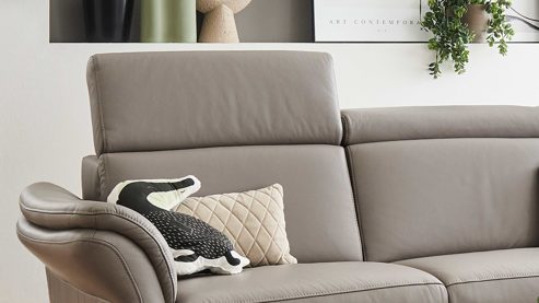 Funktion modulmaster aus Metall in Transparent Modulmaster MM-PN1209 - Kopfteilverstellung manuell