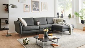Ecksofa modulmaster aus Leder in Anthrazit Modulmaster MM-PN1209 - Ecksofa anthrazitfarbenes Leder Torro & glänzende Metallfüße – Stellfläche ca. 280 x 173 cm