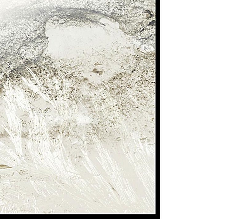 Kunstdruck Malerifabrikken aus Karton / Papier / Pappe in Grau Posterboard The Rising 2 mit Rahmen Motiv Natur & schwarzer Rahmen – ca. 70 x 100 cm