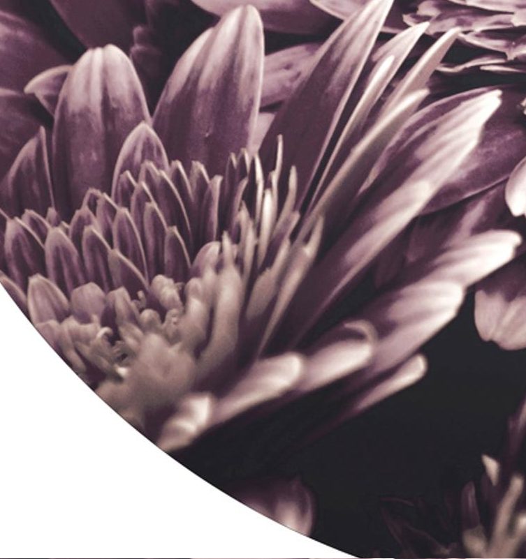 Digitaldruck Malerifabrikken aus Holz in Lila Digitalprint Opulent auf Holz Motiv Opulent – Durchmesser ca. 40 cm