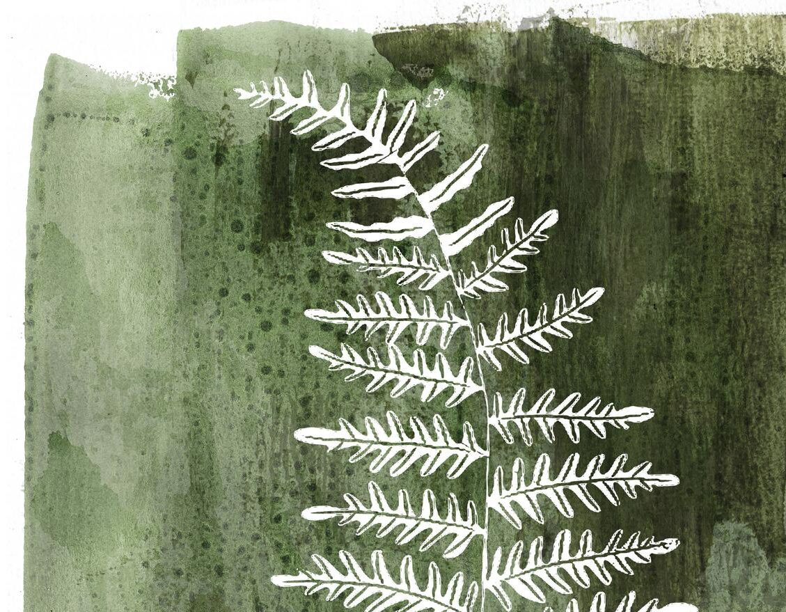 Kunstdruck Malerifabrikken aus Karton / Papier / Pappe in Grün Posterboard White Fern mit Rahmen Motiv Farnwedel & Eichenholzrahmen – ca. 30 x 40 cm