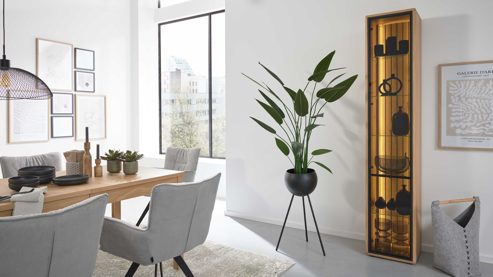 Vitrine Interliving aus Holz in Holzfarben Interliving Wohnzimmer Serie 2024 - Vitrine Eiche & Schwarzglas - eine Tür, Höhe ca. 208 cm