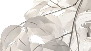 Deckenleuchte Reality leuchten aus Kunststoff in Weiß RL Deckenleuchte Leavy bzw. Deckenlampe Weiß & Chrom - Durchmesser ca. 38 cm