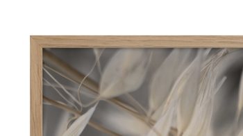 Kunstdruck Malerifabrikken aus Holz in Grau Posterdruck Mellow Grasses 4 bedrucktes Holz & Eiche – ca. 50 x 70 cm
