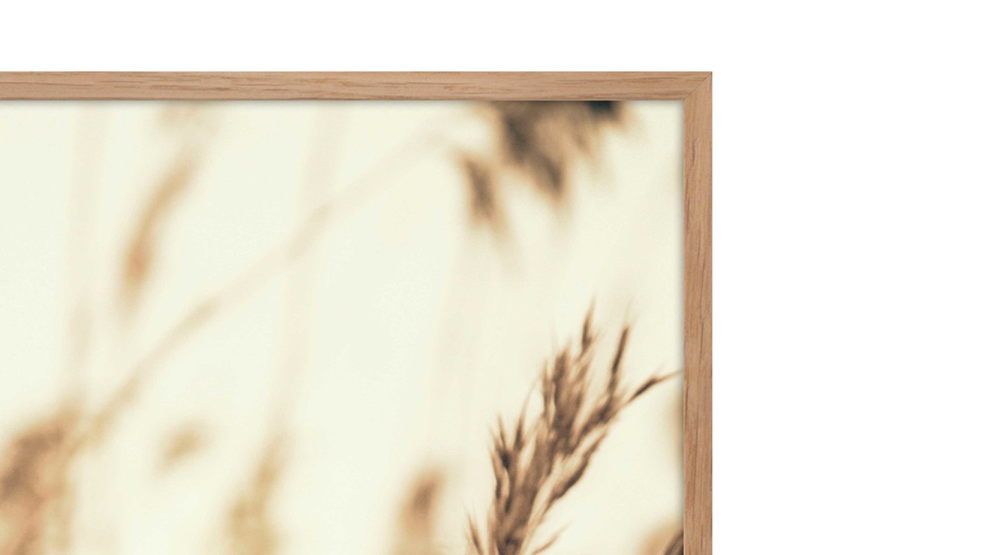 Kunstdruck Malerifabrikken aus Holz in Holzfarben Posterdruck Reed 3 bedrucktes Papier & Eiche – ca. 50 x 70 cm