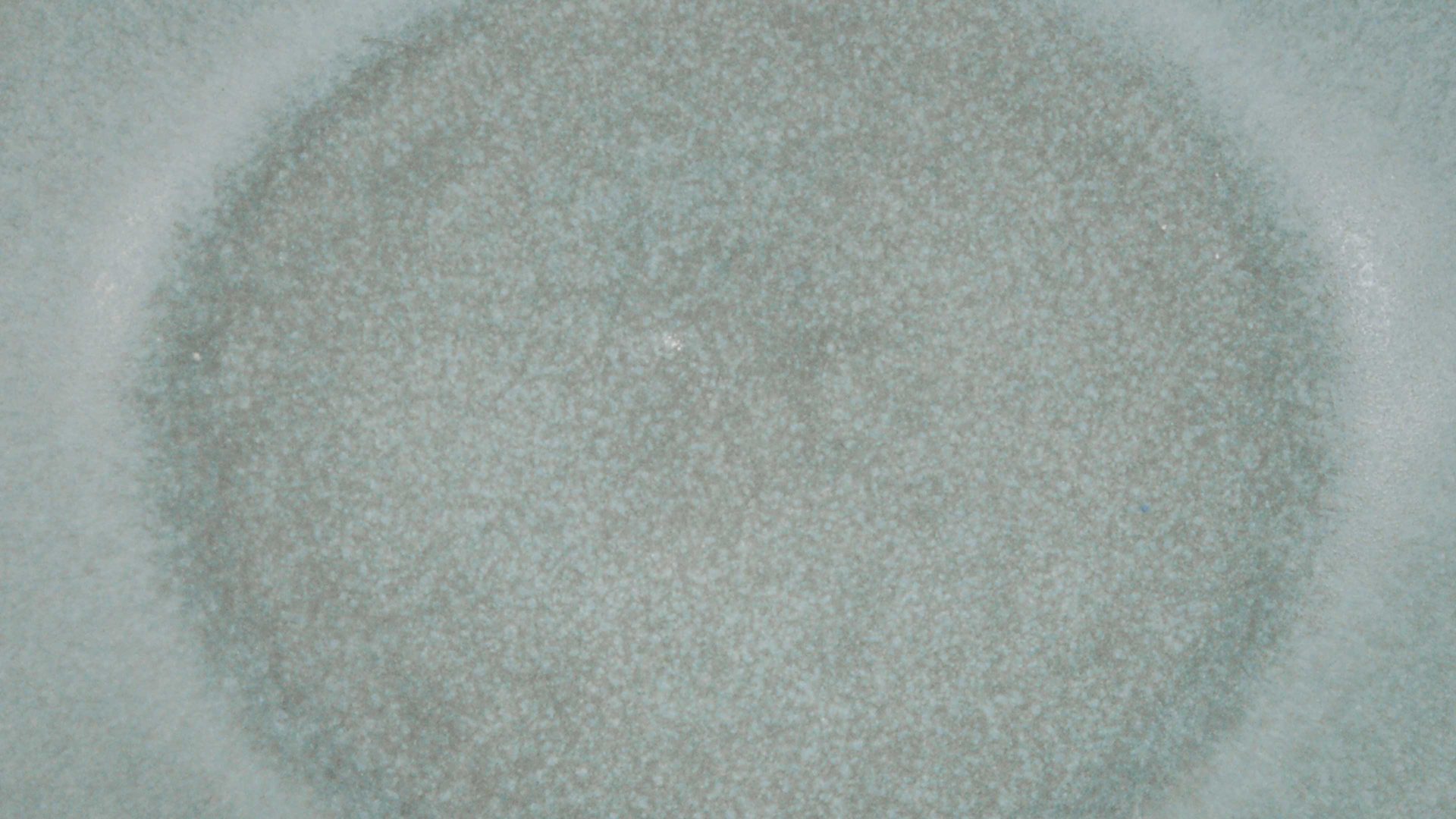 Suppenteller Creatable aus Steinzeug in Dunkelgrau CREATABLE Pietra – Salat-, Suppen- & Pastateller graphitfarbenes Steinzeug – ca. 21 x 17 cm