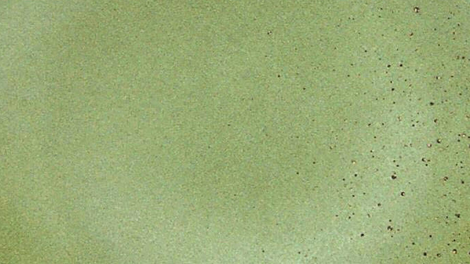 Kuchen- / Frühstücks- / Dessertteller Creatable aus Stein in Grün CREATABLE Nature Collection – Kuchenteller naturgrünes Steinzeug – Durchmesser ca. 21 cm