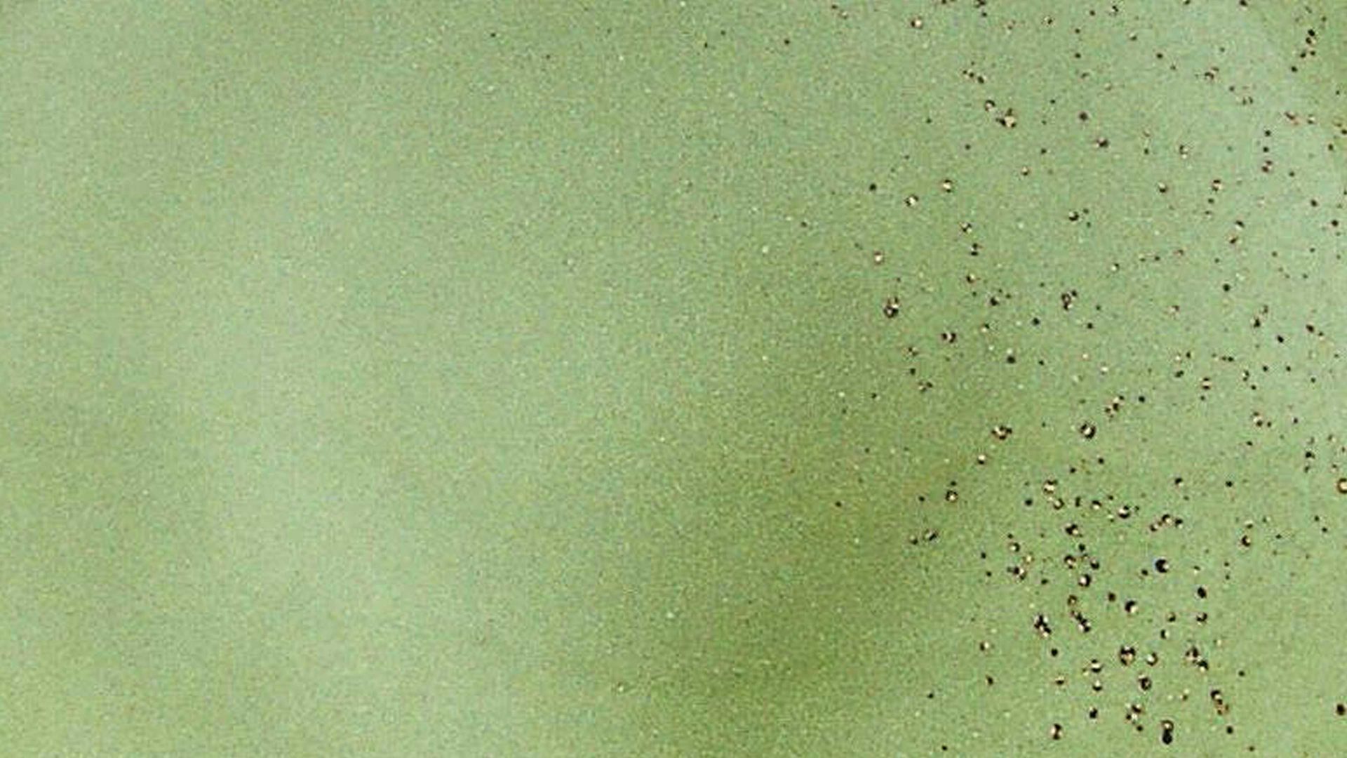 Suppenteller Creatable aus Steinzeug in Grün CREATABLE Nature Collection – Suppenteller naturgrünes Steinzeug – Durchmesser ca. 22 cm