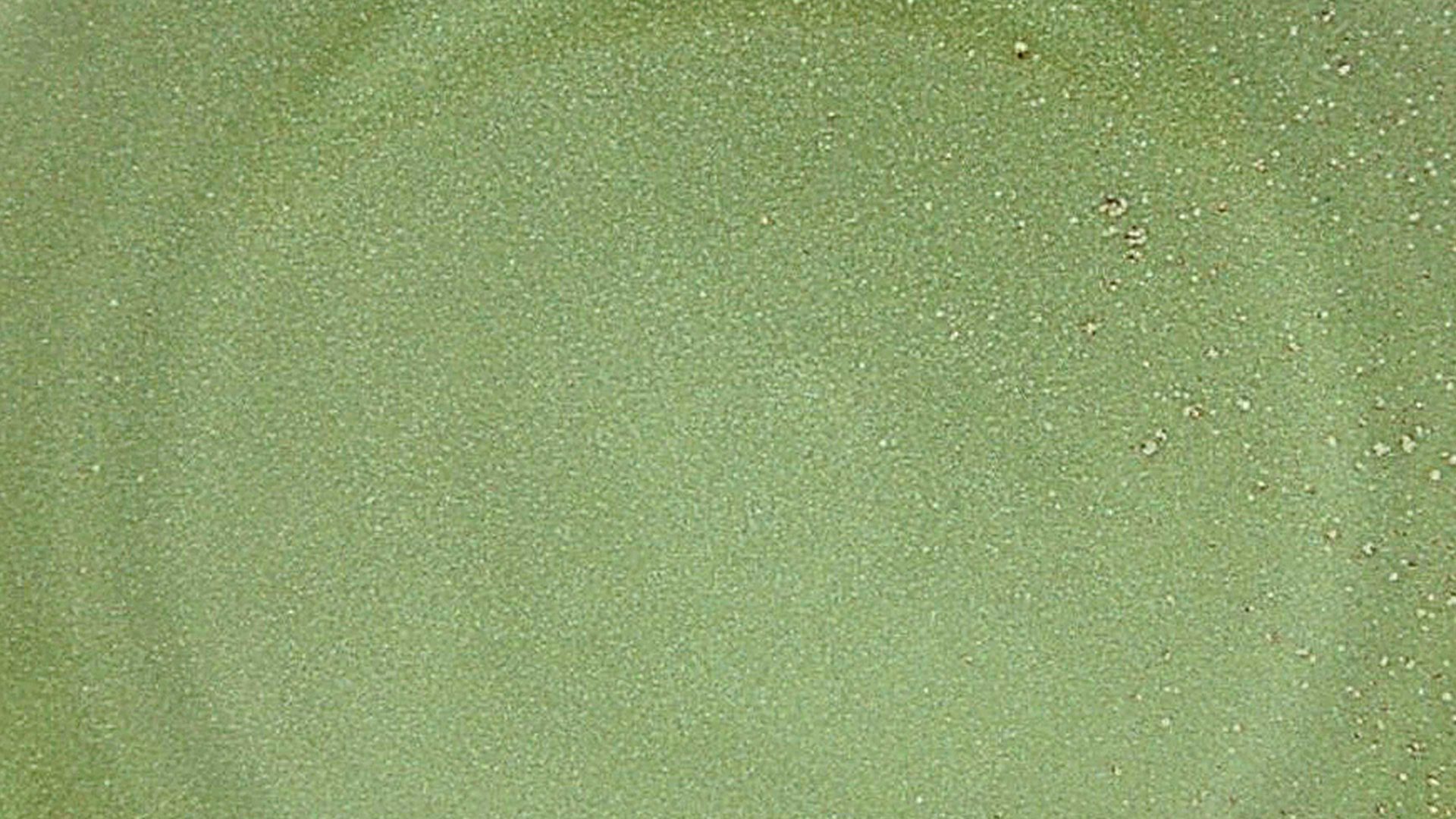 Essteller Creatable aus Steinzeug in Grün CREATABLE Nature Collection – Essteller naturgrünes Steinzeug – Durchmesser ca. 27 cm