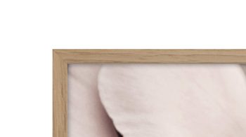 Kunstdruck Malerifabrikken aus Karton / Papier / Pappe in Pastell Posterboard Opulent 1 mit Rahmen Motiv Pfingstrose & Eichenholzrahmen – ca. 50 x 70 cm