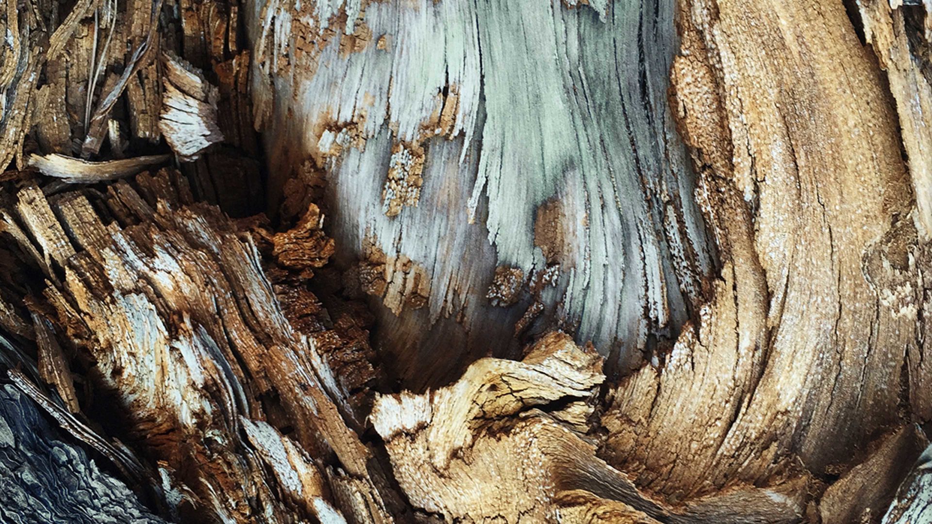 Kunstdruck Malerifabrikken aus Karton / Papier / Pappe in Grau Kunstdruck Wooden Papier & Holz – ca. 70 x 100 cm