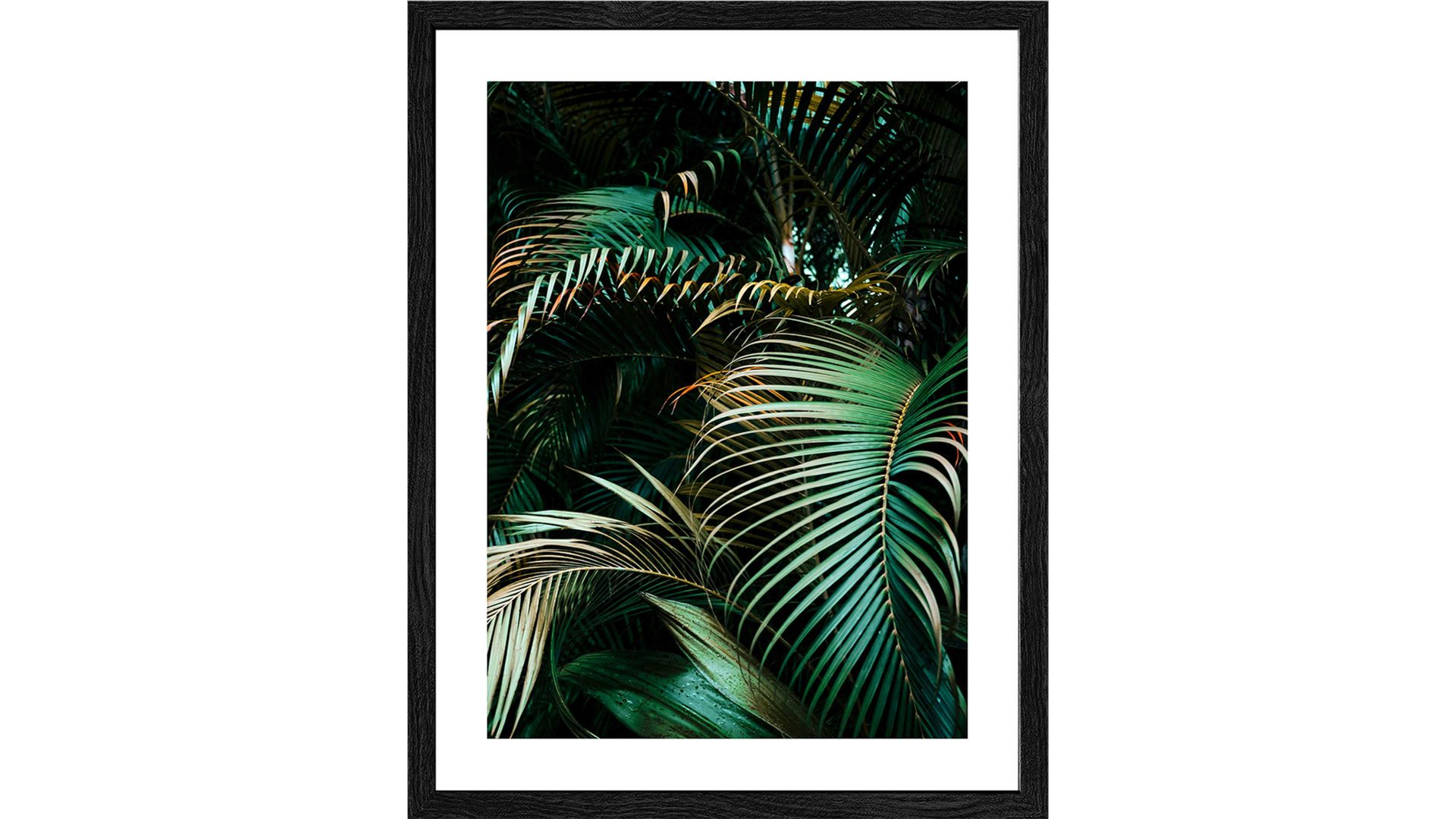 Kunstdruck Pro®art bilderpalette aus Karton / Papier / Pappe in Dunkelgrün PRO®ART Kunstdruck Jungle Leaves I fünfteilig