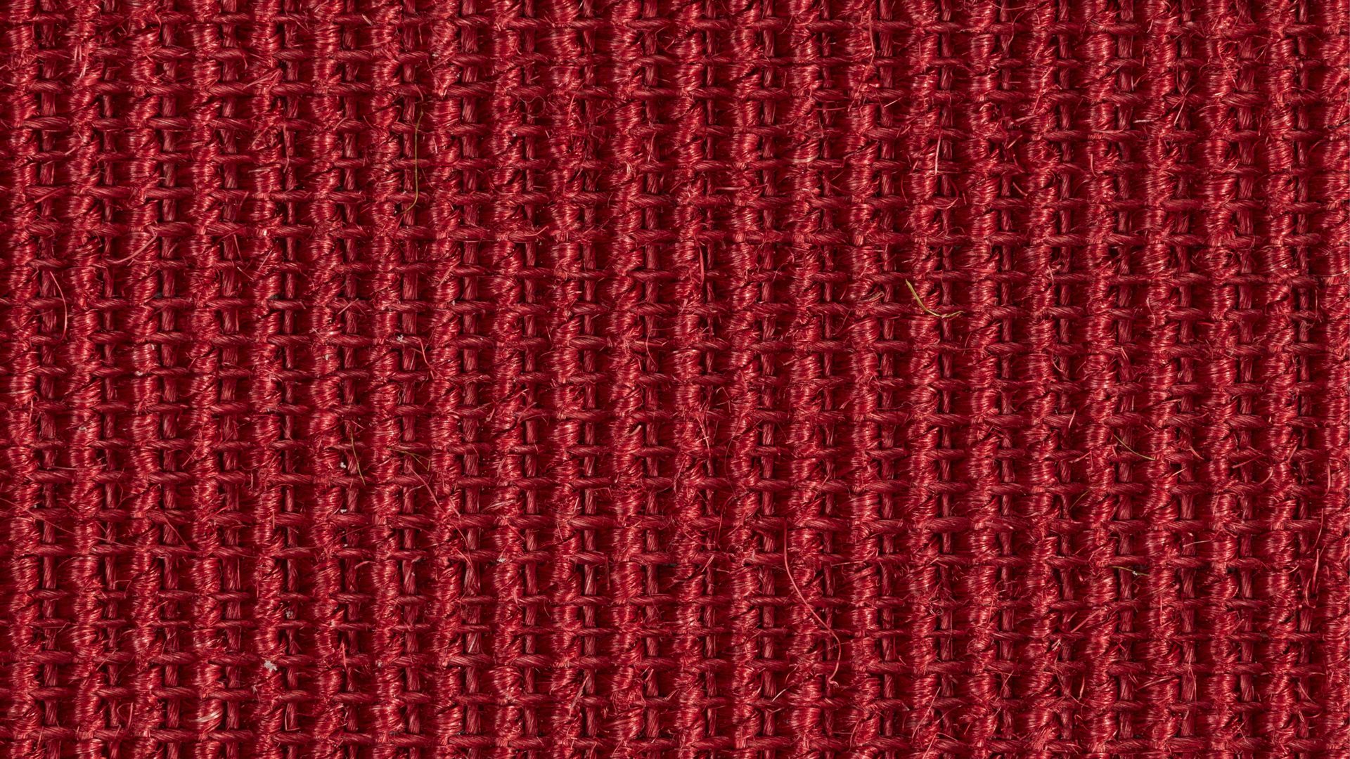 Webteppich Golze | astra aus Naturfaser in Dunkelrot ARMADA Teppich Cancun rubinroter Sisal - ca. 165 x 235 cm