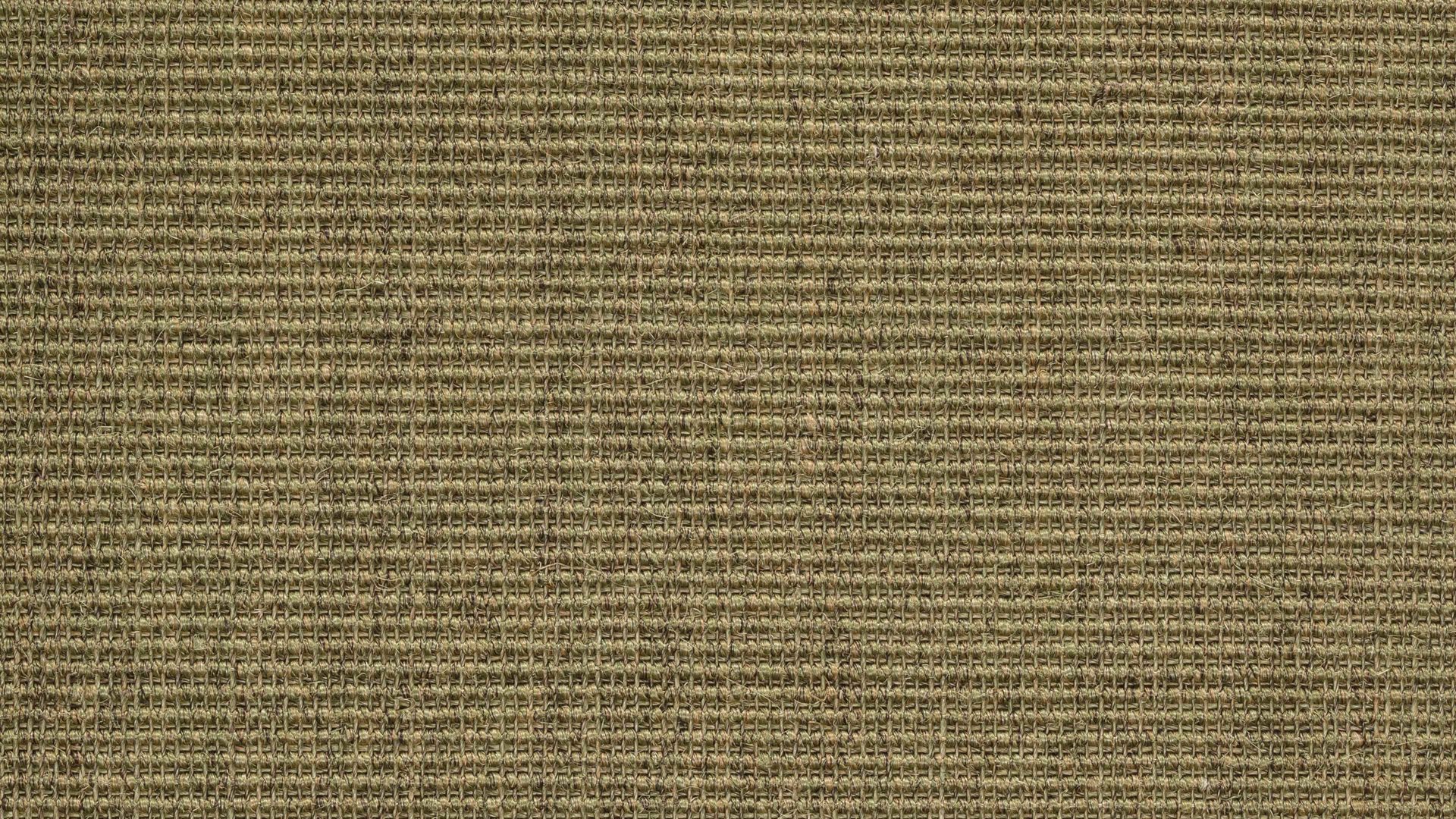 Webteppich Golze | astra aus Naturfaser in Grün ARMADA Teppich Cancun heufarbener Sisal - ca. 165 x 235 cm