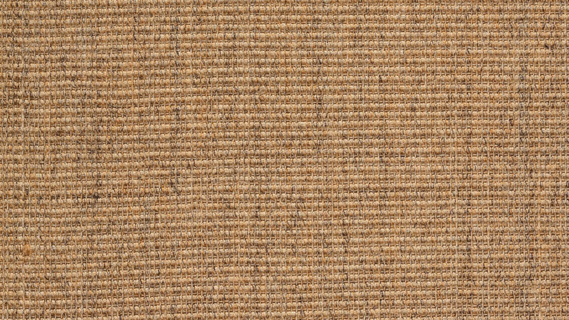 Webteppich Golze | astra aus Naturfaser in Hellbraun ARMADA Teppich Cancun cognacfarbener Sisal - ca. 165 x 235 cm