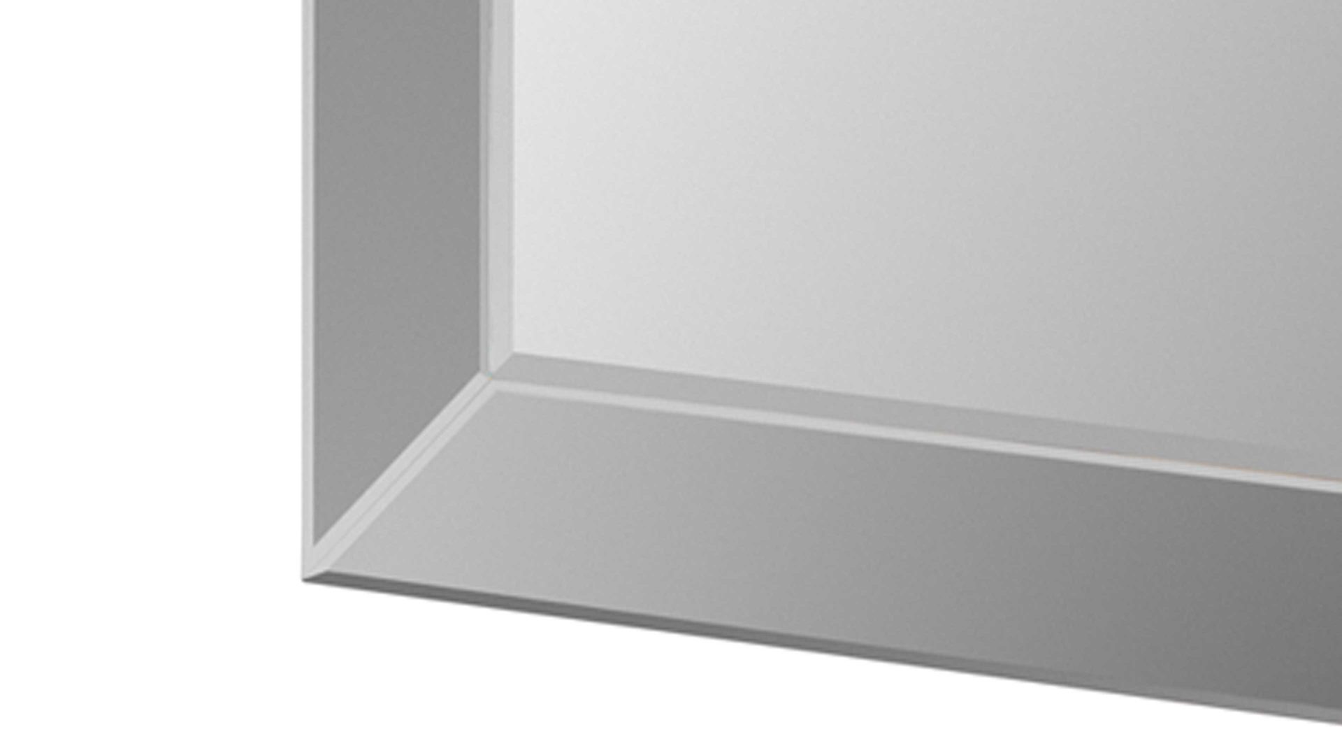 Spiegel Mirrors and more aus Spiegel in Transparent Rahmenspiegel Dunja Spiegelglas - ca. 100 x 200 cm