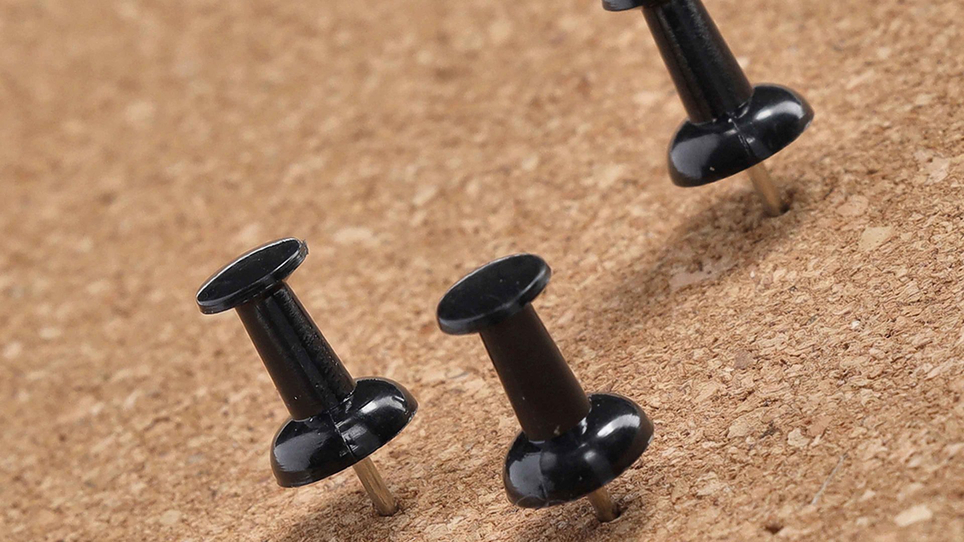 Zubehör Zeller present aus Kunststoff in Schwarz Push Pins Schwarz - 25 Stück