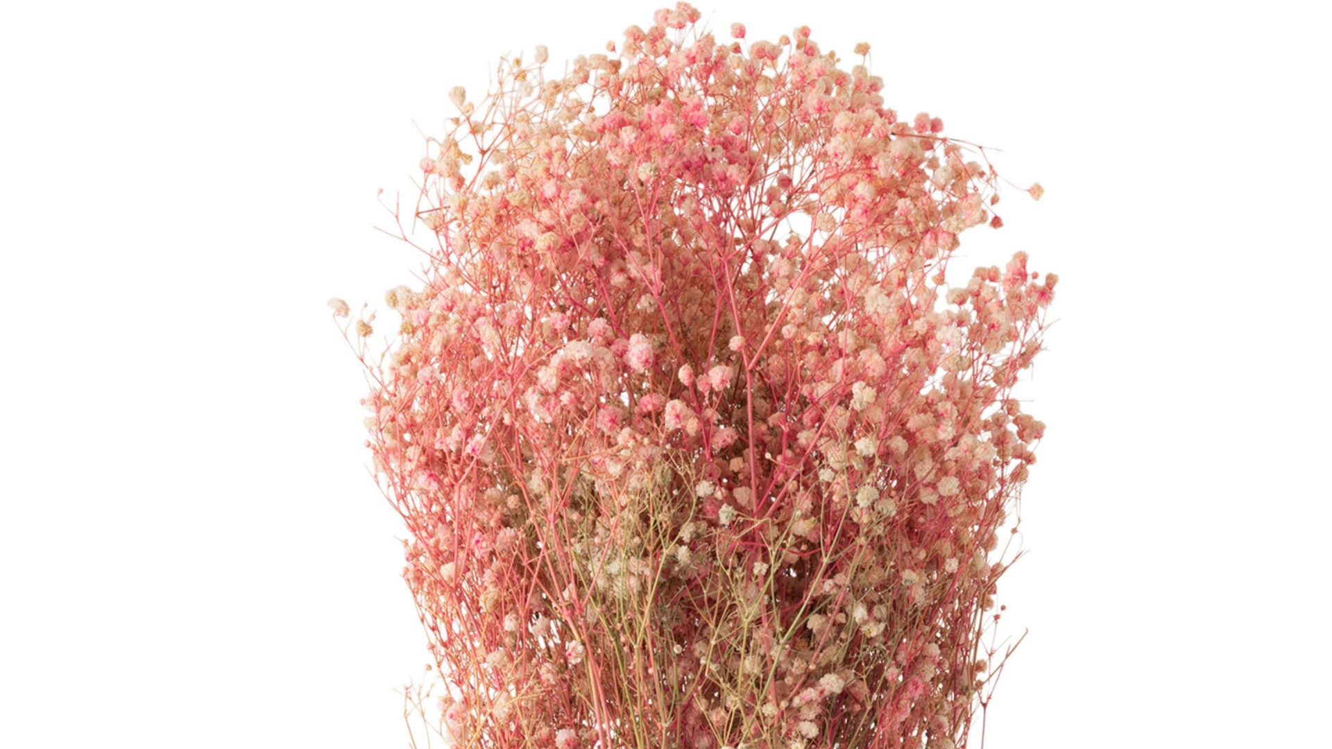 Blume Jolipa aus Naturfaser in Rosa Gipskraut-Strauß Rosé- & Naturtöne - Höhe ca. 84 cm