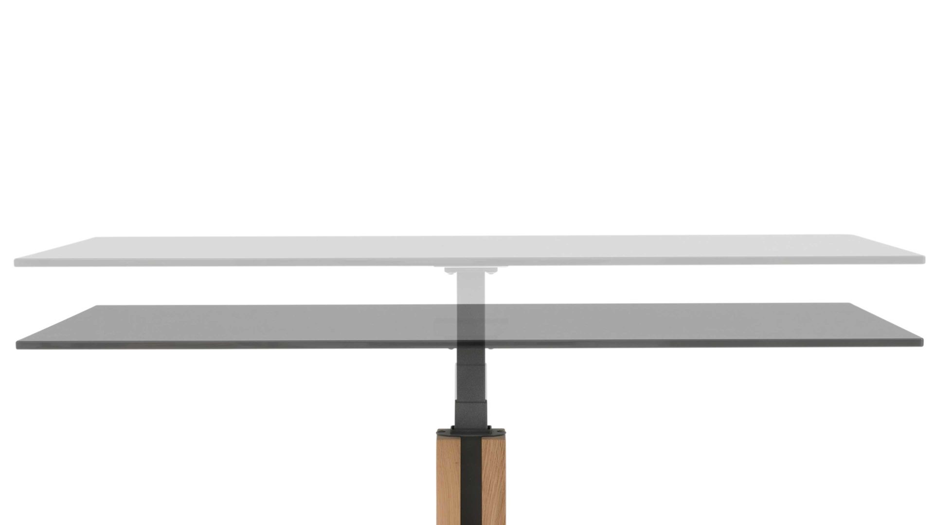 Couchtisch Interliving aus Glas in Dunkelgrau Interliving Couchtisch Serie 6212 - Couchtisch GPA-EBI graues Parsolglas & Wildeiche - ca. 100 x 60 cm