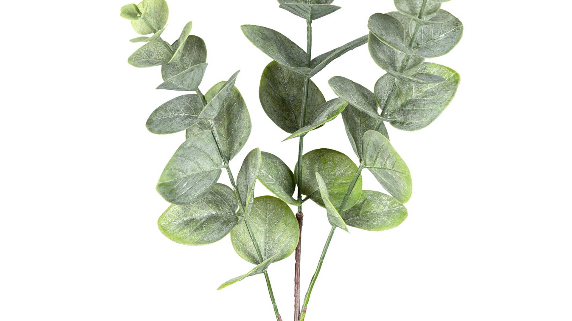Blume Gasper aus Kunststoff in Grün Eukalyptuszweig Valdete graugrüner Kunststoff – Höhe ca. 51 cm