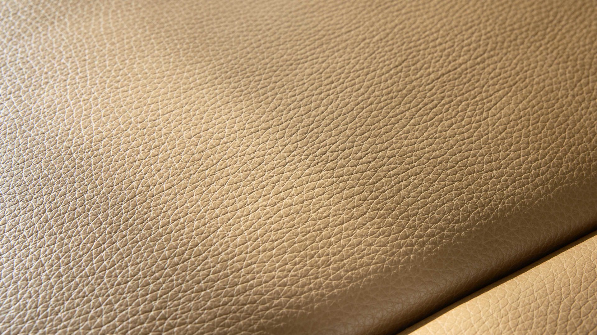 Zweisitzer Interliving aus Leder in Hellbraun Interliving Sofa Serie 4004 - Zweisitzer fangofarbenes LongLife-Leder Z84-21 - Länge ca. 220 cm