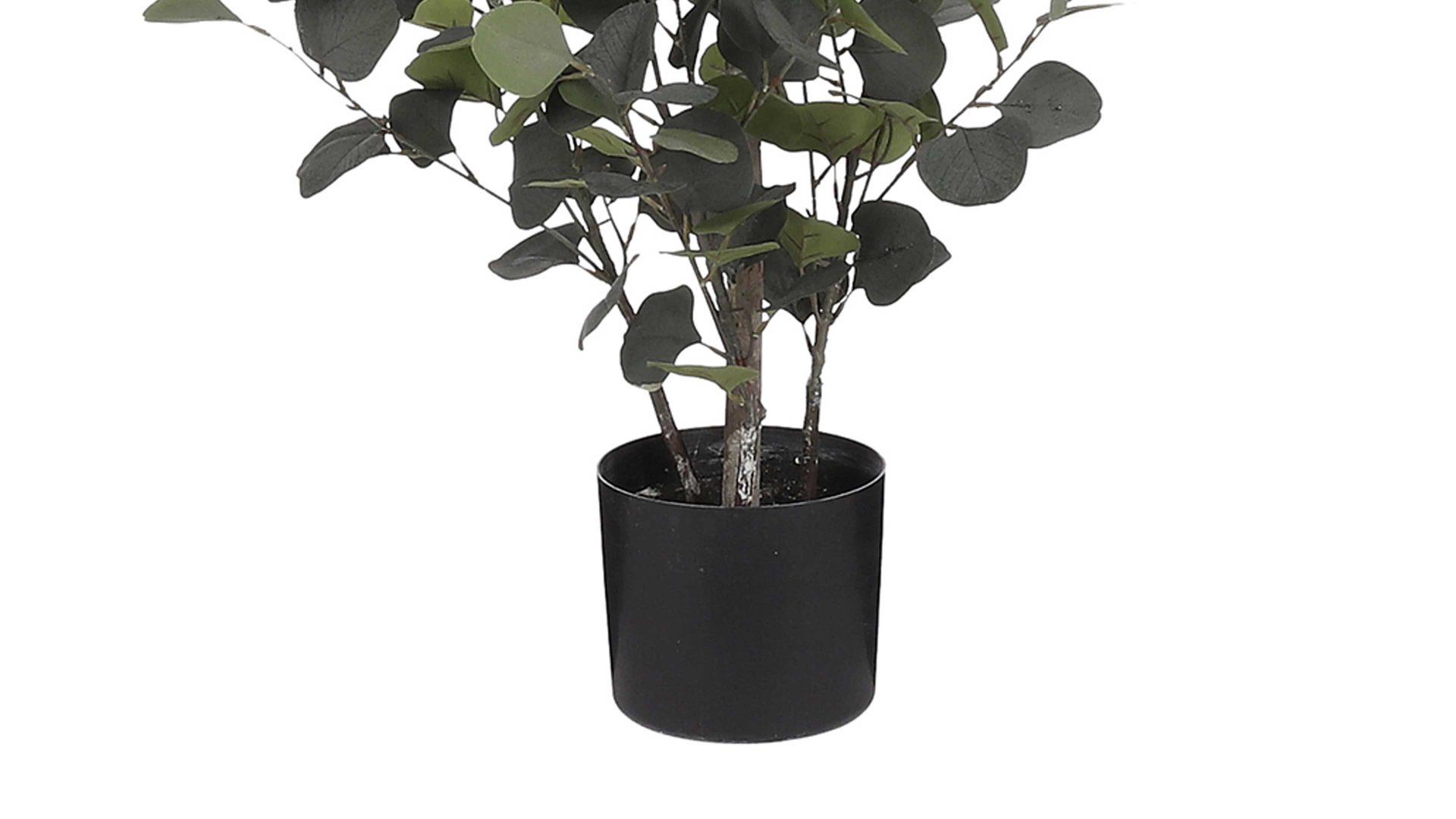 Pflanze Edelman® aus Kunststoff in Grün Eukalyptusstrauch Kunststoff - Höhe ca. 150 cm